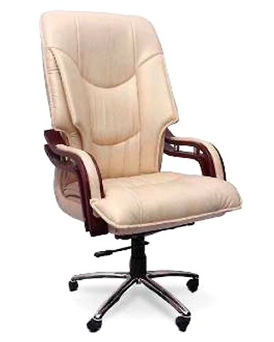 Eleganze Director Chair ED129-ED129