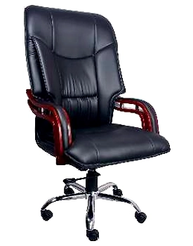 Eleganze Director Chair ED127