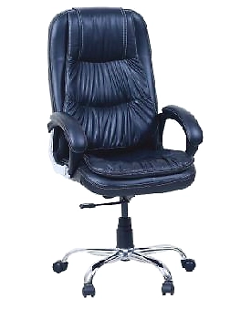 Eleganze Director Chair ED151