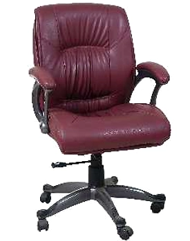Eleganze Director Chair ED147