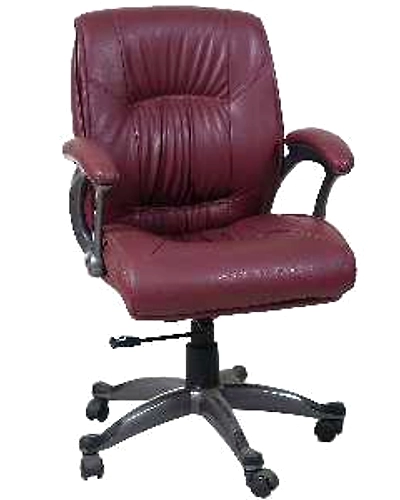 Eleganze Director Chair ED147-ED147