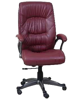 Eleganze Director Chair ED148