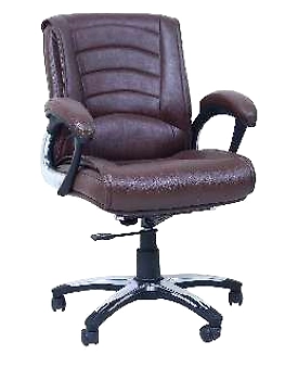 Eleganze Director Chair ED136