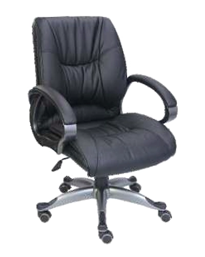 Eleganze Director Chair ED154-ED154