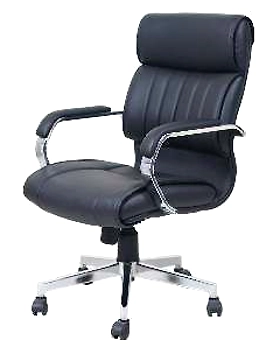 Eleganze Director Chair ED125