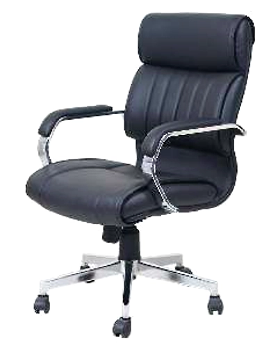 Eleganze Director Chair ED125-ED125