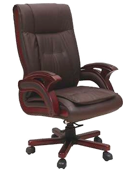 Eleganze Director Chair ED103