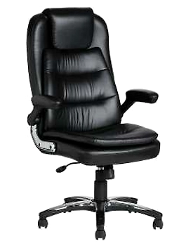 Eleganze Director Chair ED121