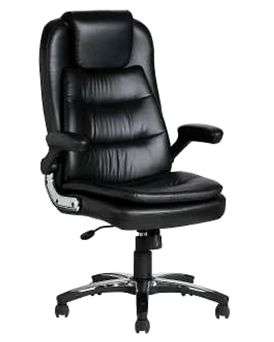 Eleganze Director Chair ED121-ED121