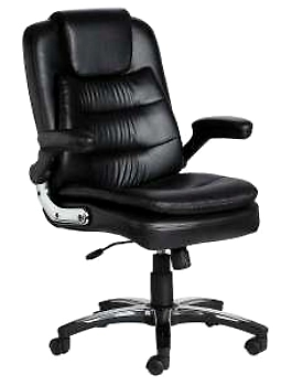 Eleganze Director Chair ED122