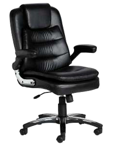 Eleganze Director Chair ED122-ED122