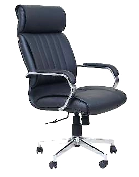 Eleganze Director Chair ED124