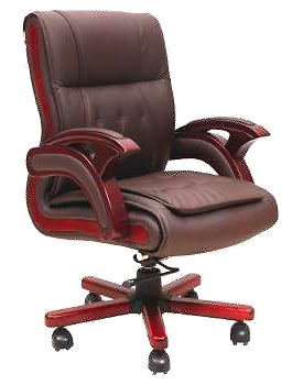 Eleganze Director Chair ED104