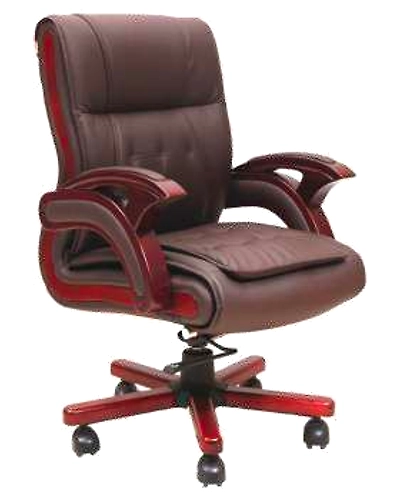 Eleganze Director Chair ED104-ED104