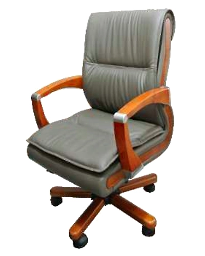 Eleganze Director Chair ED102-ED102