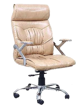 Eleganze Director Chair ED107