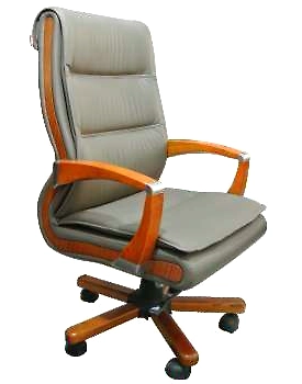 Eleganze Director Chair ED101