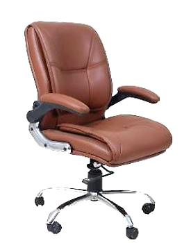 Eleganze Director Chair ED118