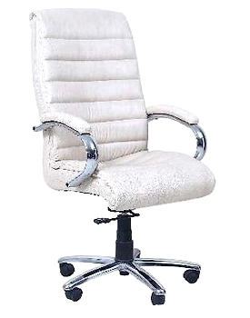 Eleganze Director Chair ED112