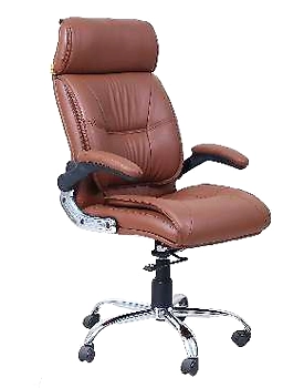 Eleganze Director Chair ED117