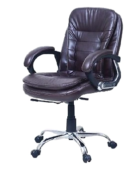Eleganze Director Chair ED110