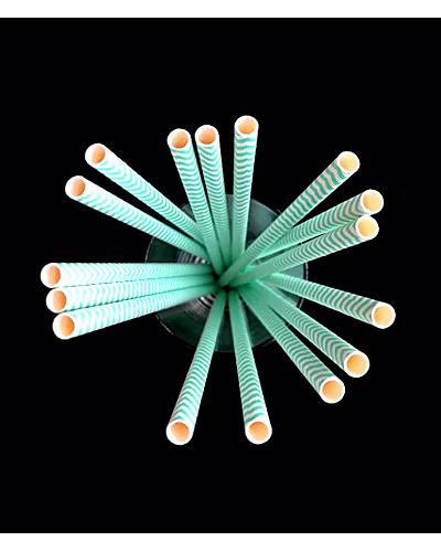 Biodegradable Paper Straws (6mm, Imported, Pack of 50 pieces)-Green Waves-2