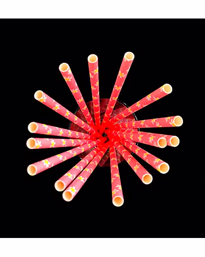 Biodegradable Paper Straws (6mm, Imported, Pack of 50 pieces)-Pink with Yellow Flowers-2