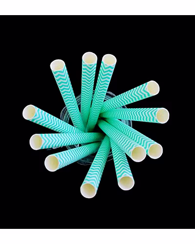 Biodegradable Paper Straws (10mm, Imported, Pack of 50 pieces)-Green Waves-2