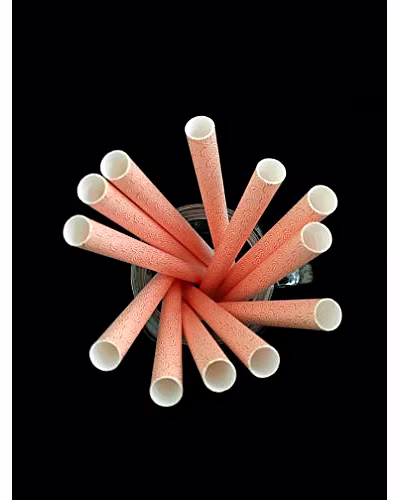 Biodegradable Paper Straws (10mm, Imported, Pack of 50 pieces)-Pink Vortex-2