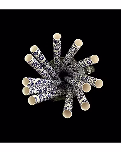 Biodegradable Paper Straws (10mm, Imported, Pack of 50 pieces)-Floral Print-2