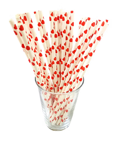 Biodegradable Paper Straws (6mm, Imported, Pack of 50 pieces)-VSPSI6REH