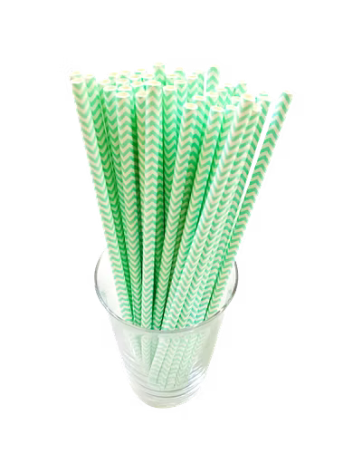 Biodegradable Paper Straws (6mm, Imported, Pack of 50 pieces)-VSPSI6GRW