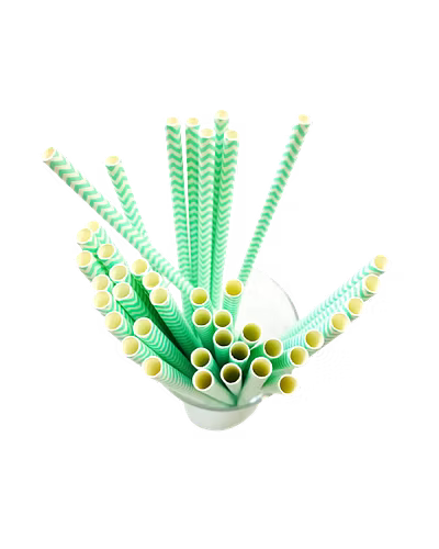 Biodegradable Paper Straws (6mm, Imported, Pack of 50 pieces)-Green Waves-1