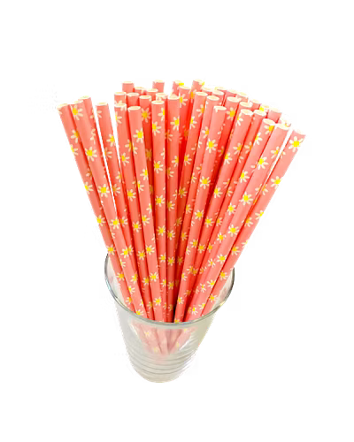 Biodegradable Paper Straws (6mm, Imported, Pack of 50 pieces)-VSPSI6PYF