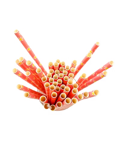 Biodegradable Paper Straws (6mm, Imported, Pack of 50 pieces)-Pink with Yellow Flowers-1