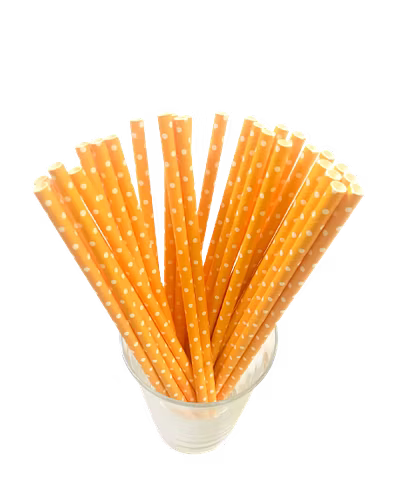 Biodegradable Paper Straws (6mm, Imported, Pack of 50 pieces)-VSPSI6OWD