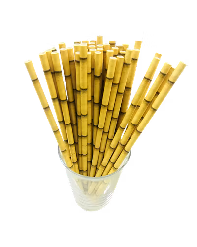 Biodegradable Paper Straws (6mm, Imported, Pack of 50 pieces)-VSPSI6BAS