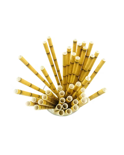 Biodegradable Paper Straws (6mm, Imported, Pack of 50 pieces)-Bamboo Stripes-1