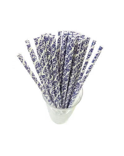 Biodegradable Paper Straws (6mm, Imported, Pack of 50 pieces)-VSPSI6FLP