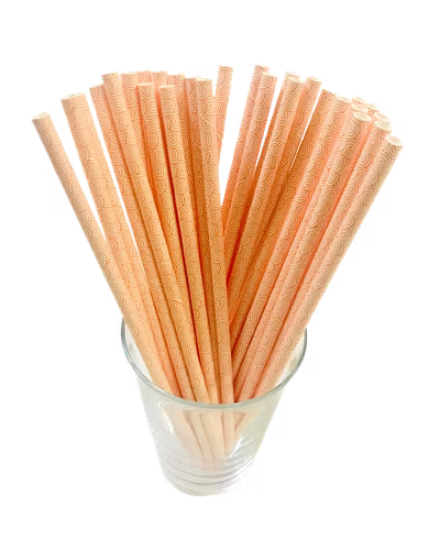 Biodegradable Paper Straws (6mm, Imported, Pack of 50 pieces)-VSPSI6PIV