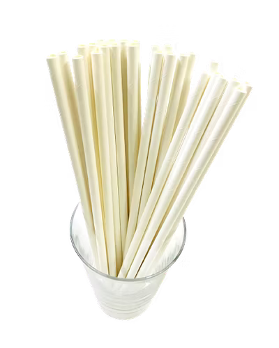 Biodegradable Paper Straws (6mm, Imported, Pack of 50 pieces)-VSPSI6PLW
