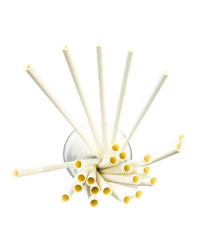 Biodegradable Paper Straws (6mm, Imported, Pack of 50 pieces)-Plain White-1