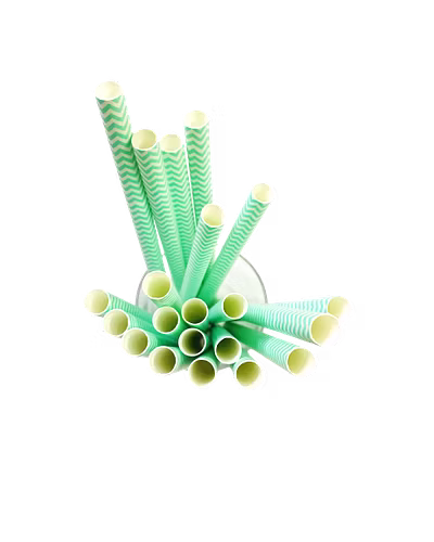 Biodegradable Paper Straws (10mm, Imported, Pack of 50 pieces)-Green Waves-1
