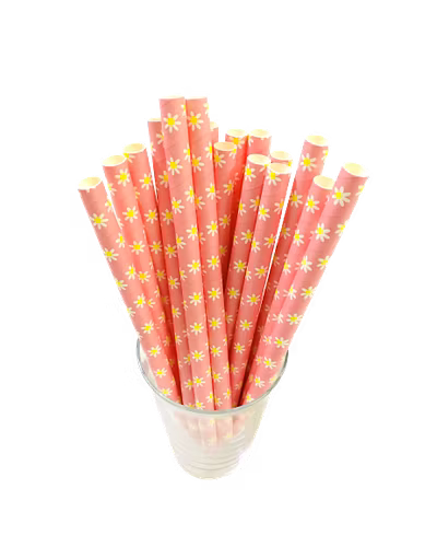 Biodegradable Paper Straws (10mm, Imported, Pack of 50 pieces)-VSPSI10PYF