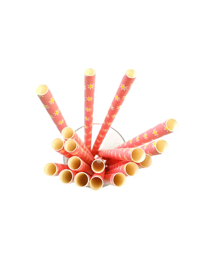 Biodegradable Paper Straws (10mm, Imported, Pack of 50 pieces)-Pink with Yellow Flowers-1