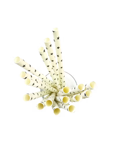 Biodegradable Paper Straws (10mm, Imported, Pack of 50 pieces)-Black Stars-1