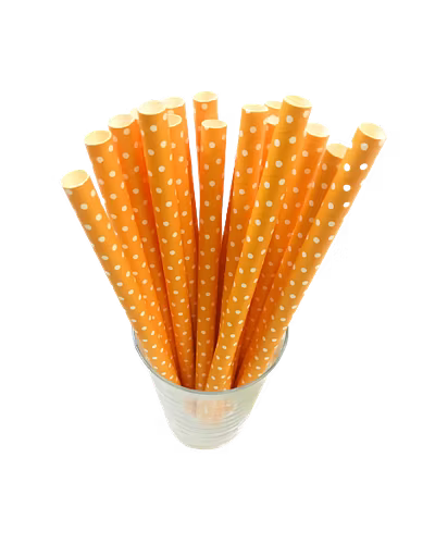Biodegradable Paper Straws (10mm, Imported, Pack of 50 pieces)-VSPSI10OWD