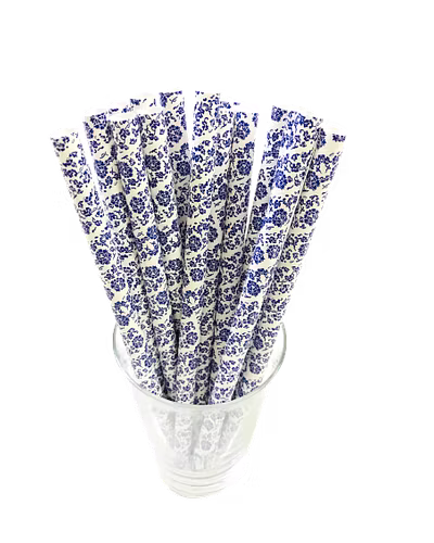 Biodegradable Paper Straws (10mm, Imported, Pack of 50 pieces)-VSPSI10FLP