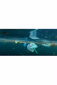 INSIDIOUS POLLUTER!