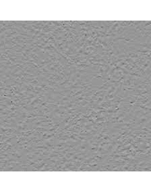 Wall Plaster